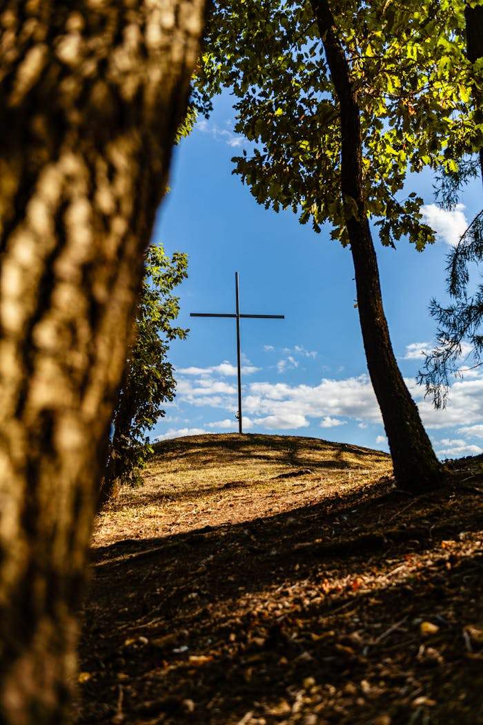 A cross stands on a hilltop surrounded by trees under a clear sky in Lipany, Slovakia.